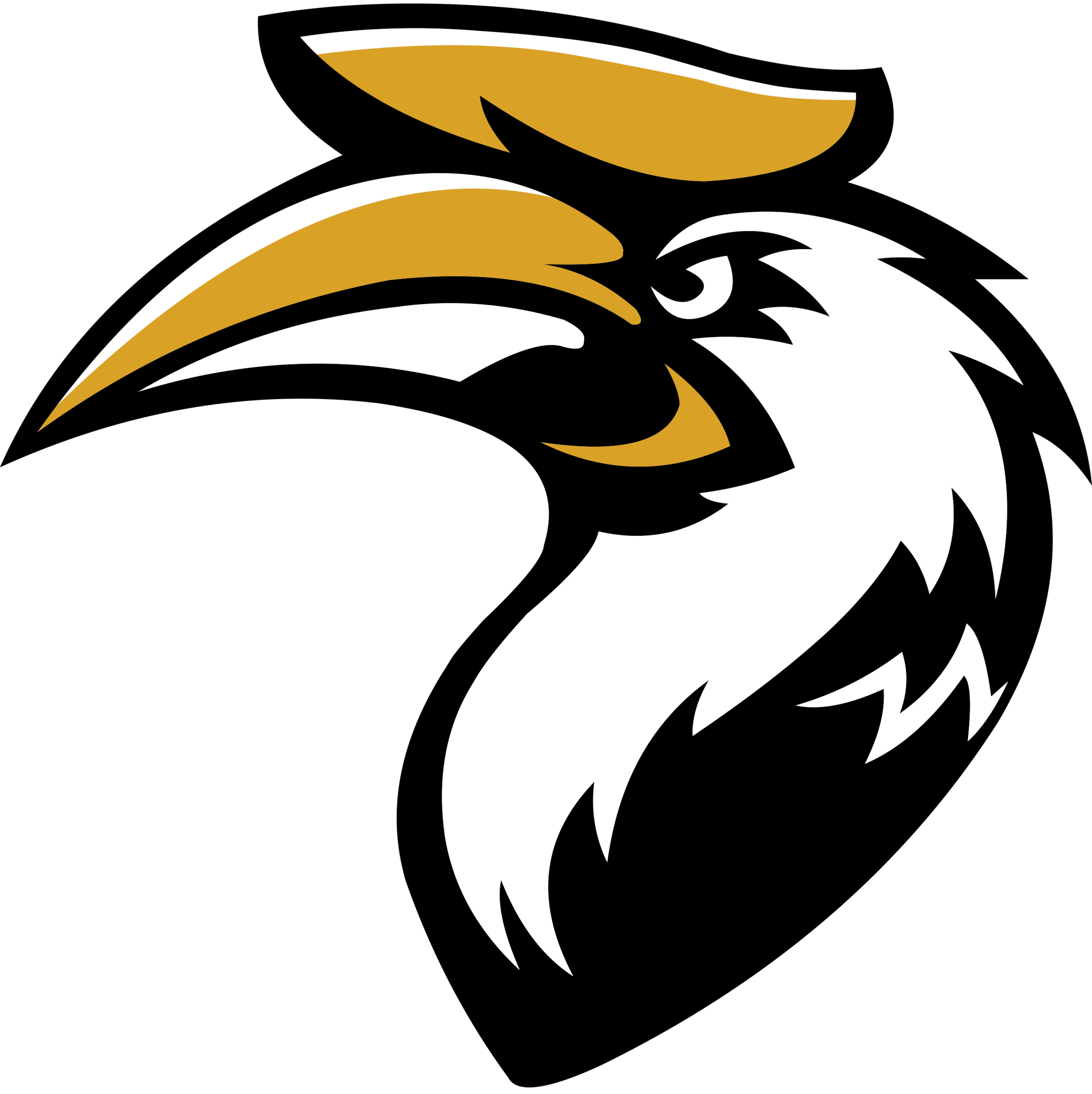Eastern Hornbills