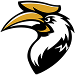 Eastern Hornbills